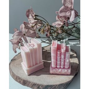 Könyv Szójagyertya