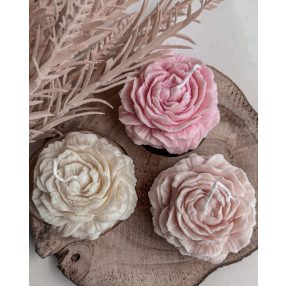 Rózsa Szójagyertya