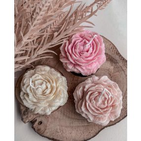 Rózsa Szójagyertya