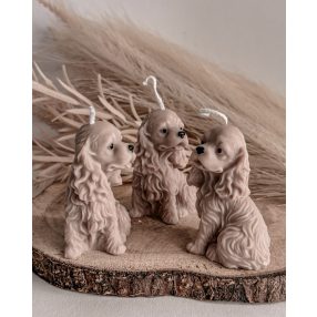 UTOLSÓ DARABOS TERMÉKEK